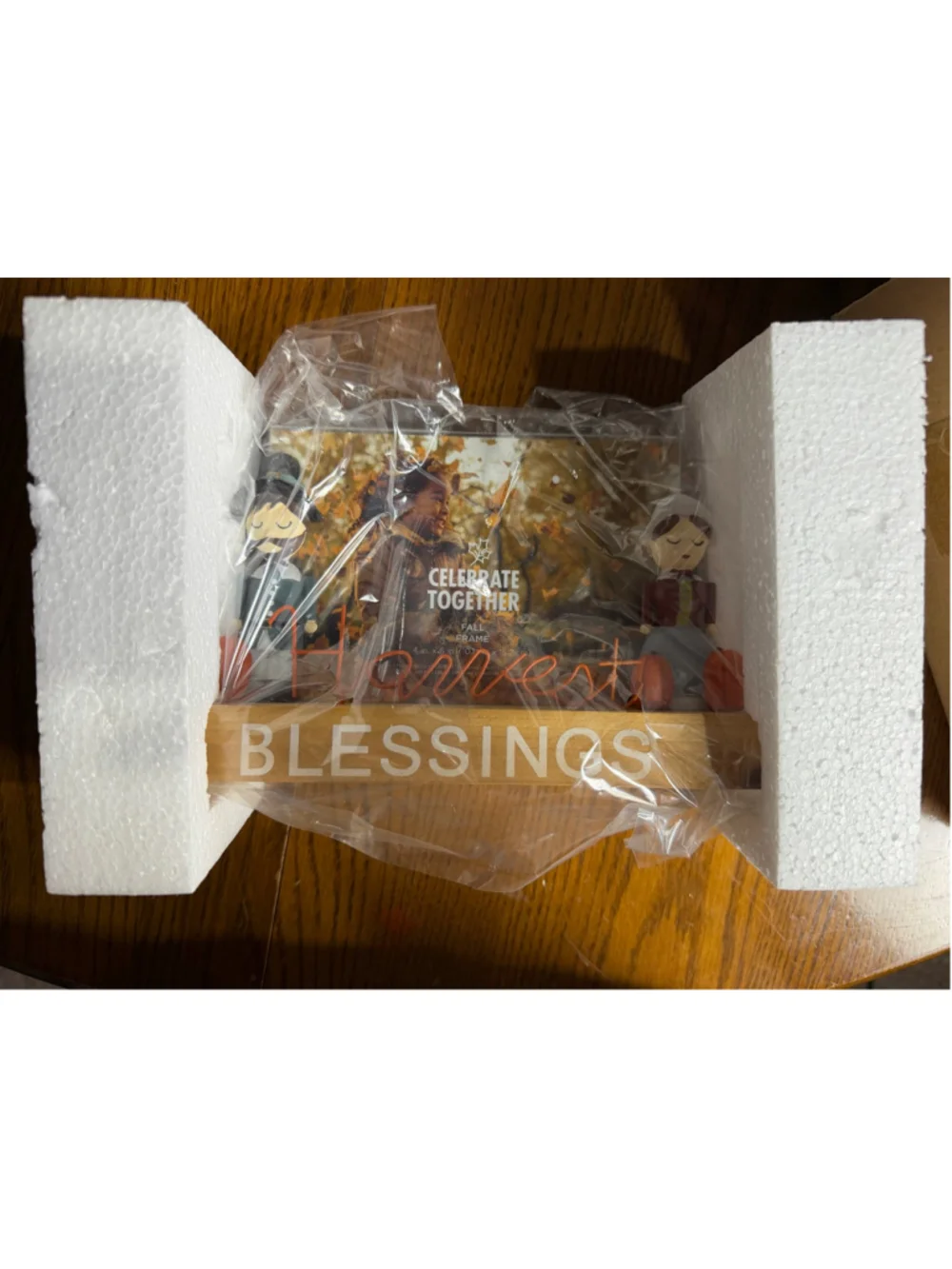 Celebrate Together Fall Harvest Blessing 4x6 Picture Frame Pilgrim Pumpkin Kohls